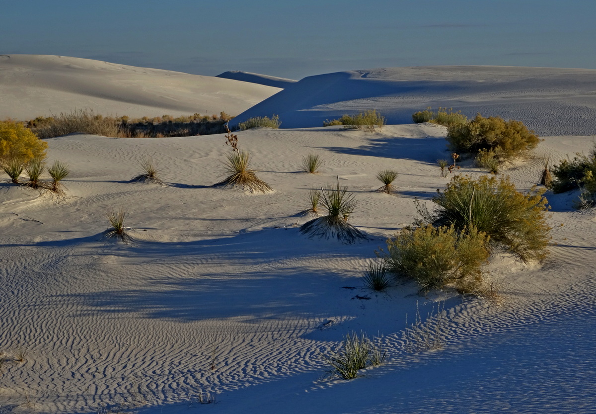 Alkali Flats