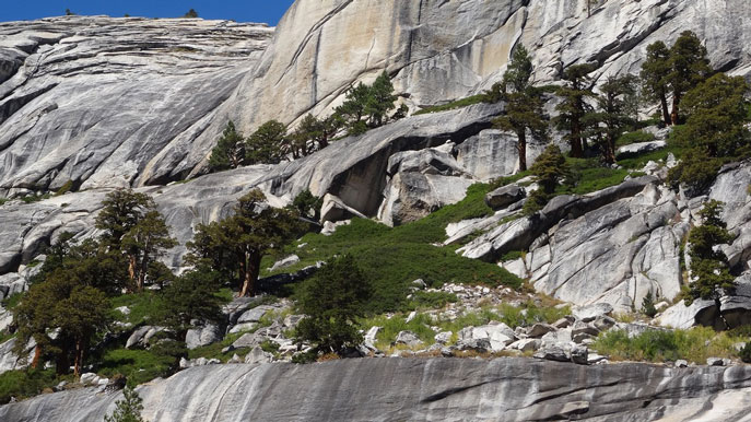 A glacially sculpted basalt cliff along the north side of Tioga Road east of Tenaya Lake.