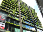 Green building in Australia