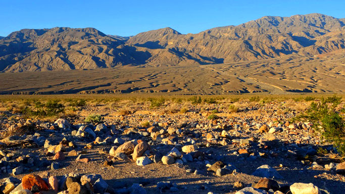 Early morning view of a fraction of a vast bajada off Scotty's Castle Rd.