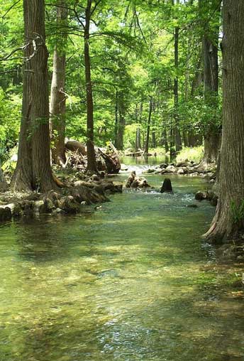 Honey Creek
