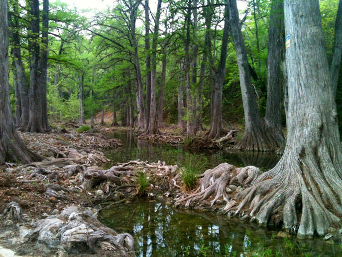 Honey Creek