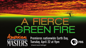 Fierce Green Fire poster