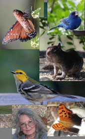 Critters