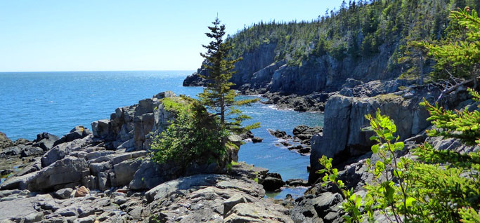 Quoddy Head State Park