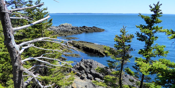 Quoddy Head State Park