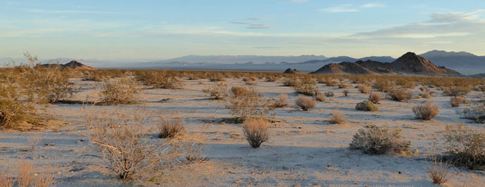 Sheephole Valley Wilderness