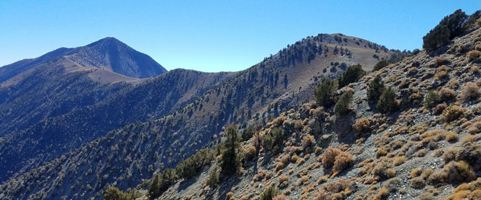 Telescope Peak from the South