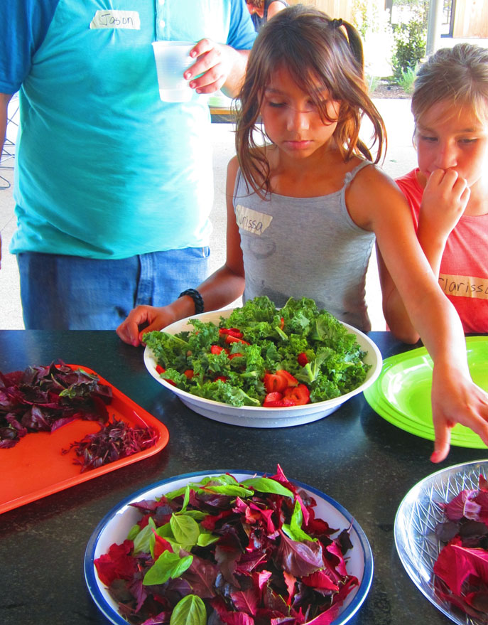 Fresh garden salads