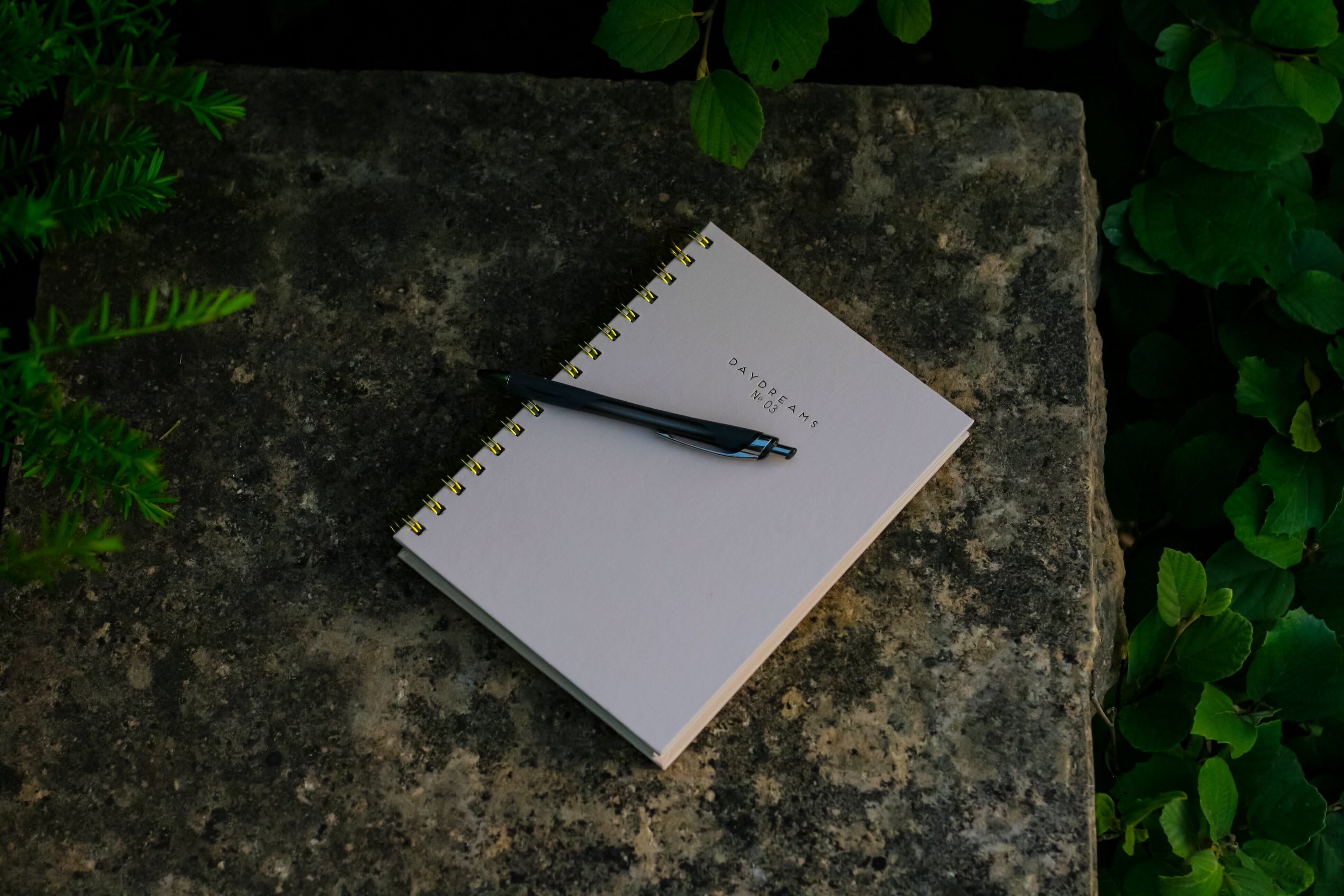 Photograph of a journal & pen on a wide flat stone surrounded by plants.