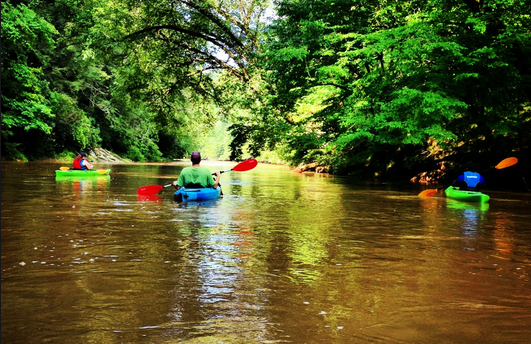 Kayaking the Chestatee