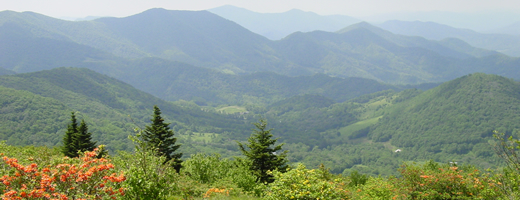 Cherokee National Forest