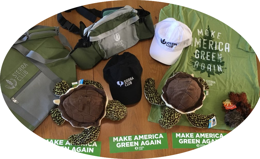 Raffle items for Green Holiday Party 2017