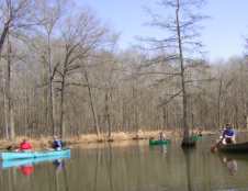 Canoeing at Mingo Swamp