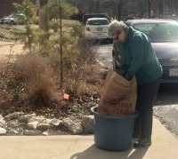 Native garden planting