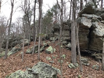 Paddy Creek Wilderness