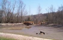 Lake at Springbrook Farm