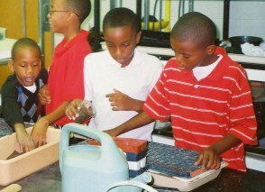 Students preparing plants
