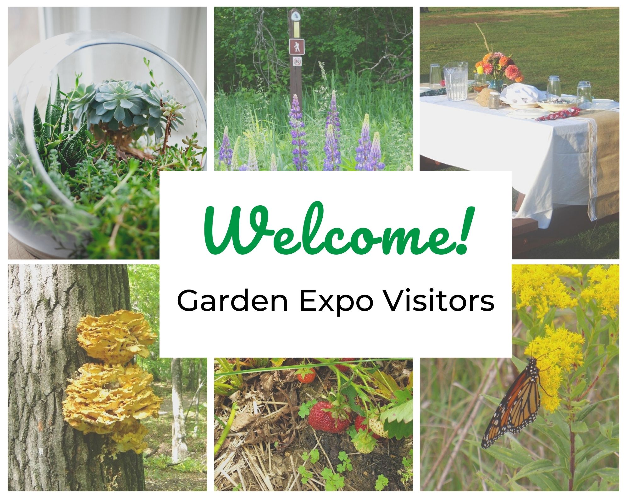 Welcome Garden Expo Visitors