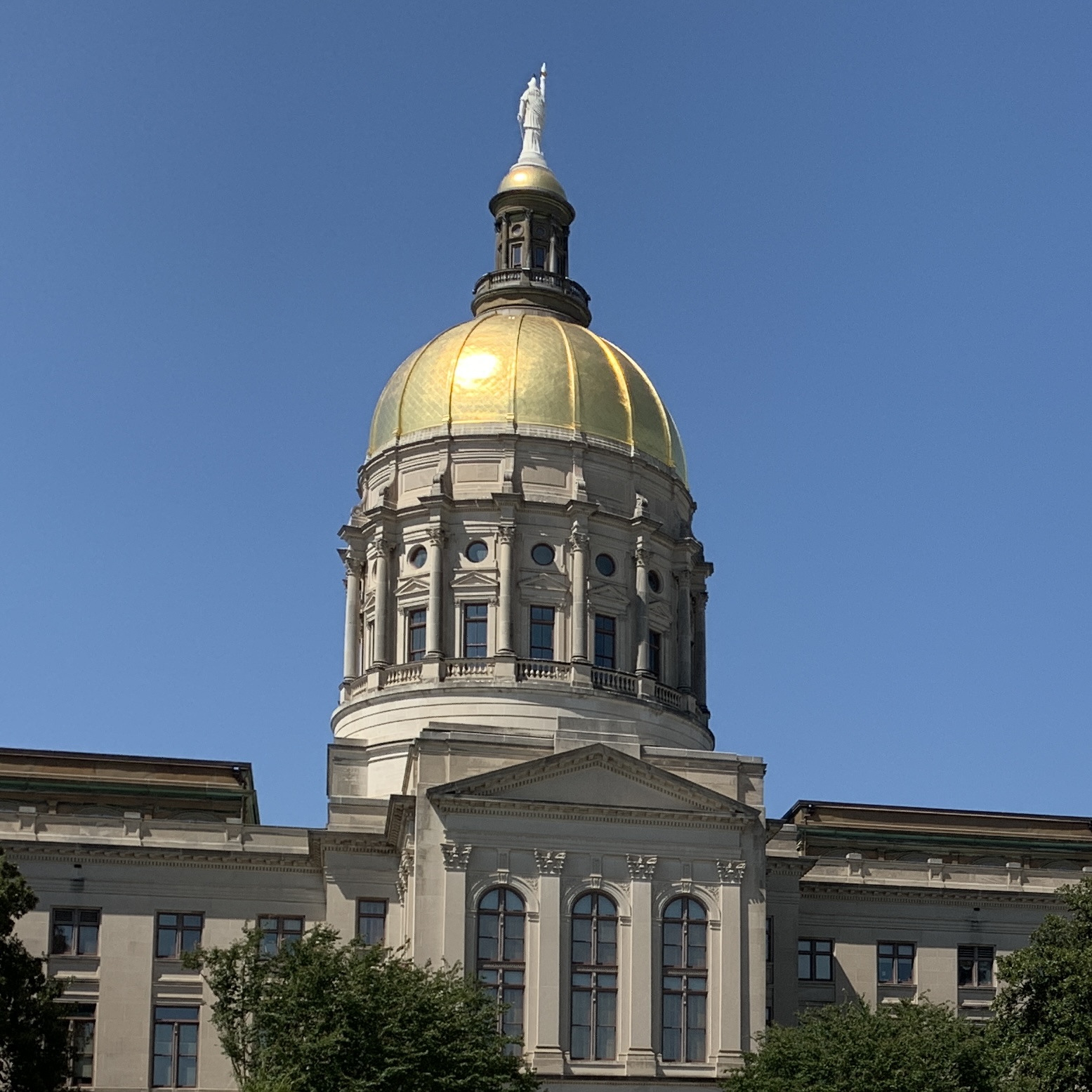The Georgia Capitol 
