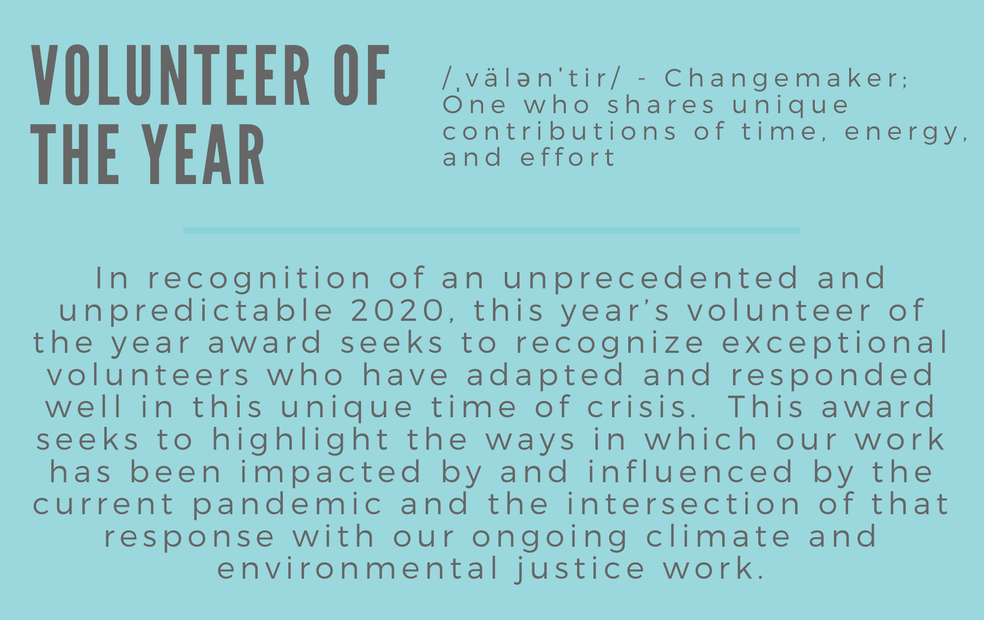 Volunteer of the Year