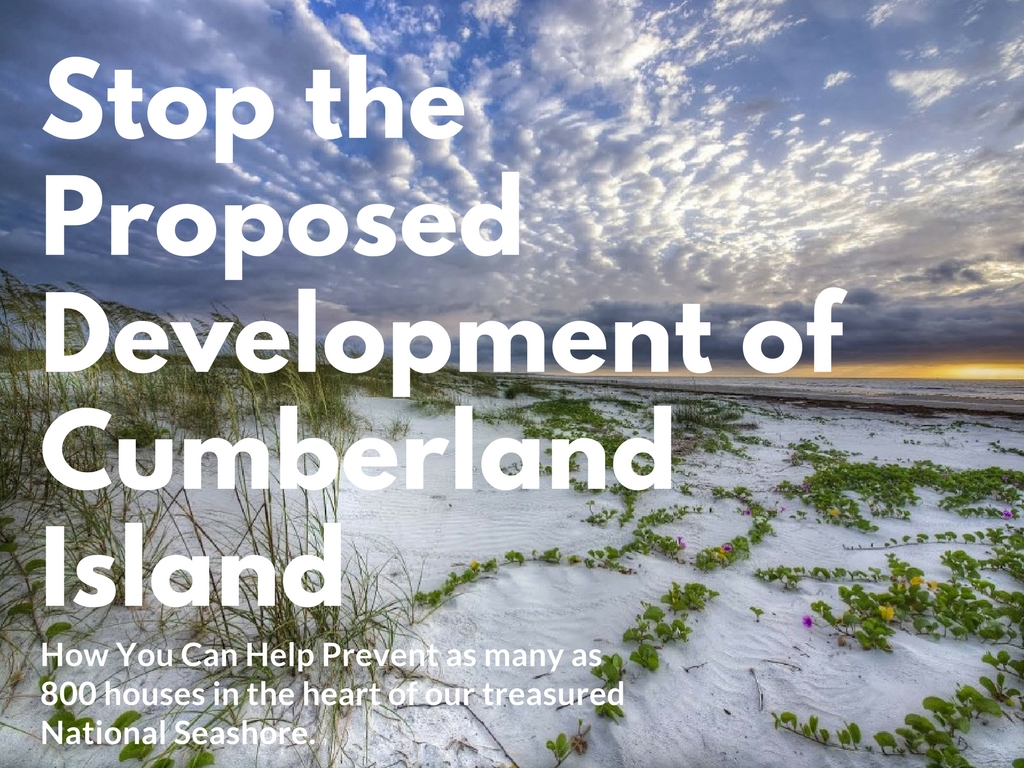 Save Cumberland Island