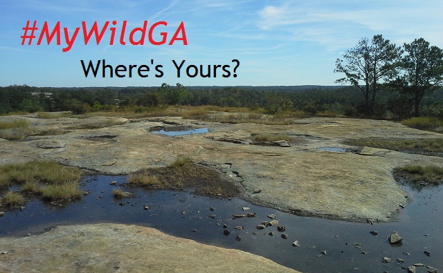 #MyWildGA Campaign #MyWildGA Campaign