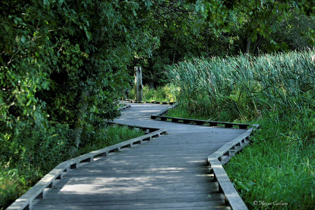 Wildwood Park boardwalk