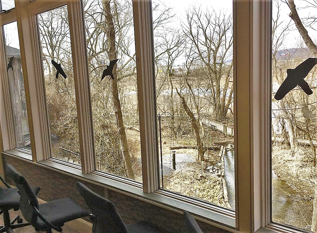 Viewing area in Olewine Nature Center - Karl Streckewald Viewing area at Wildwood
