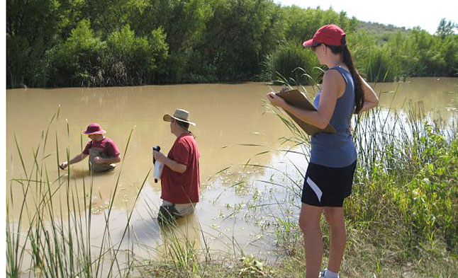 Water Sentinels sampling at Beasley Flat on the Verde River. photo by Sandy Bahr