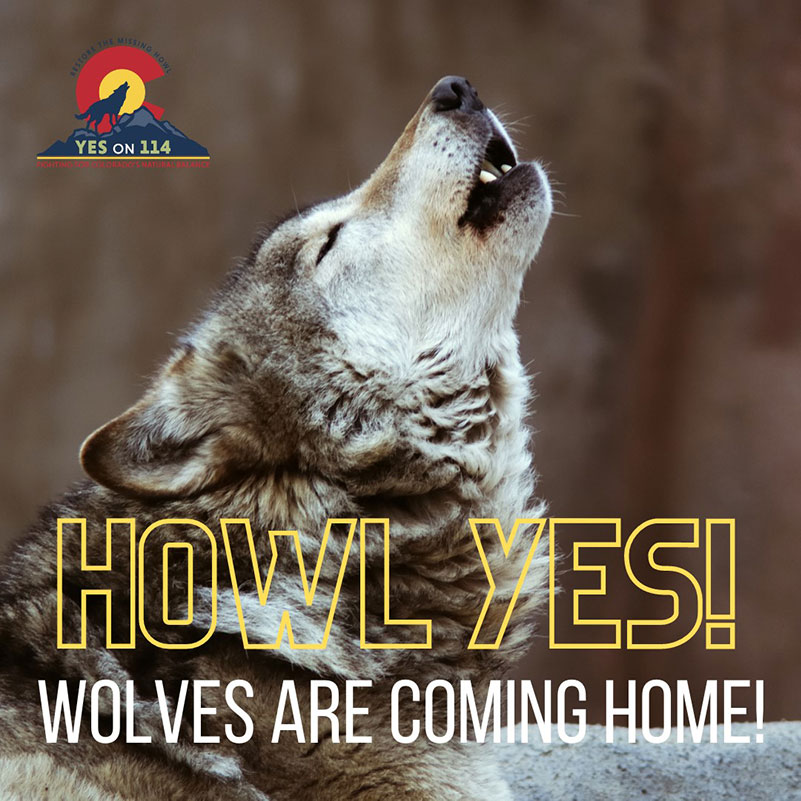 Wolf Howling