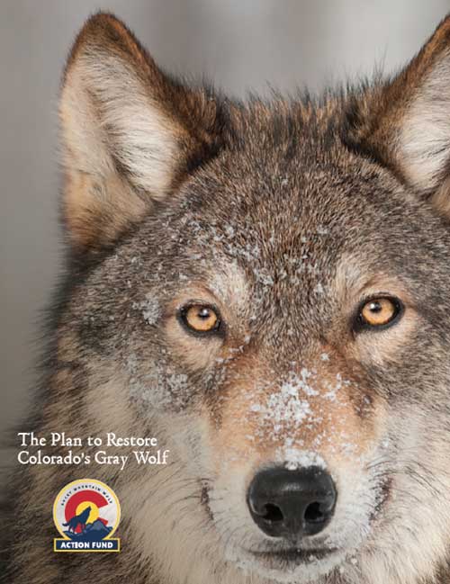 Rocky Mountain Wolf Action Fund cover page