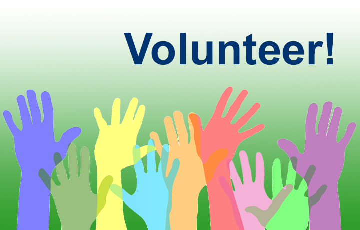 Volunteer
