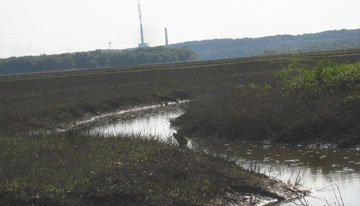 Duck Creek Power Plant