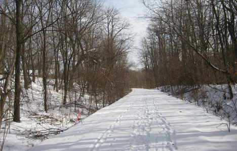 Kellar Branch, Peoria Heights
