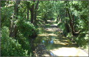Sugar Creek