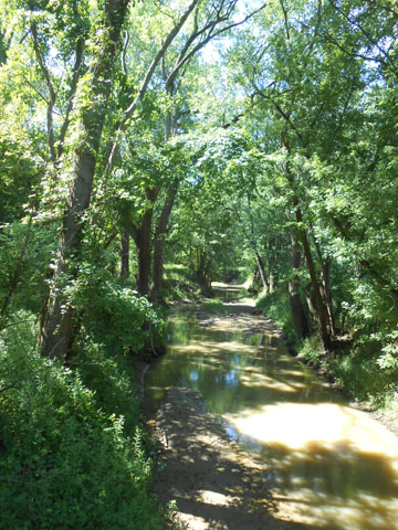 Sugar Creek