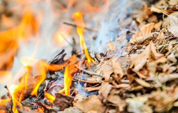 Burning Leaves