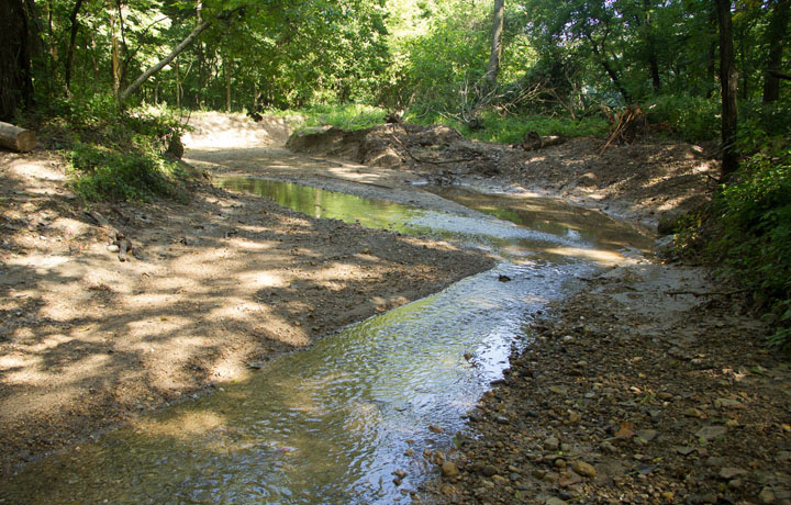 Spring Creek