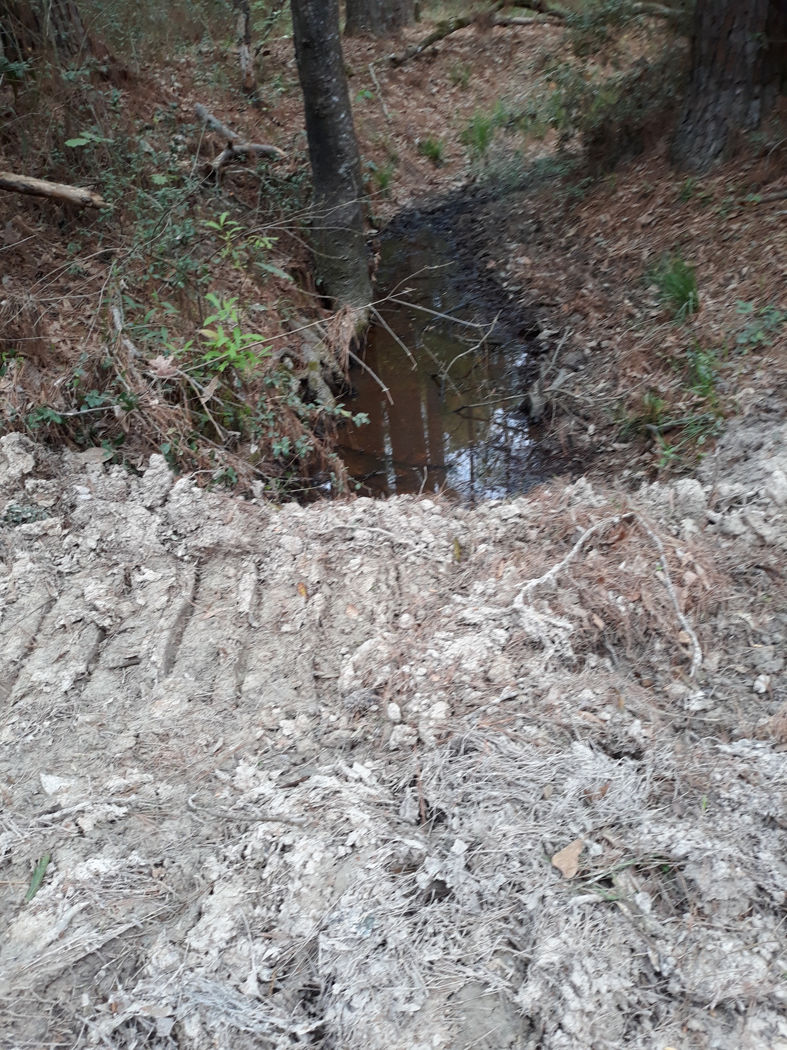 Stream