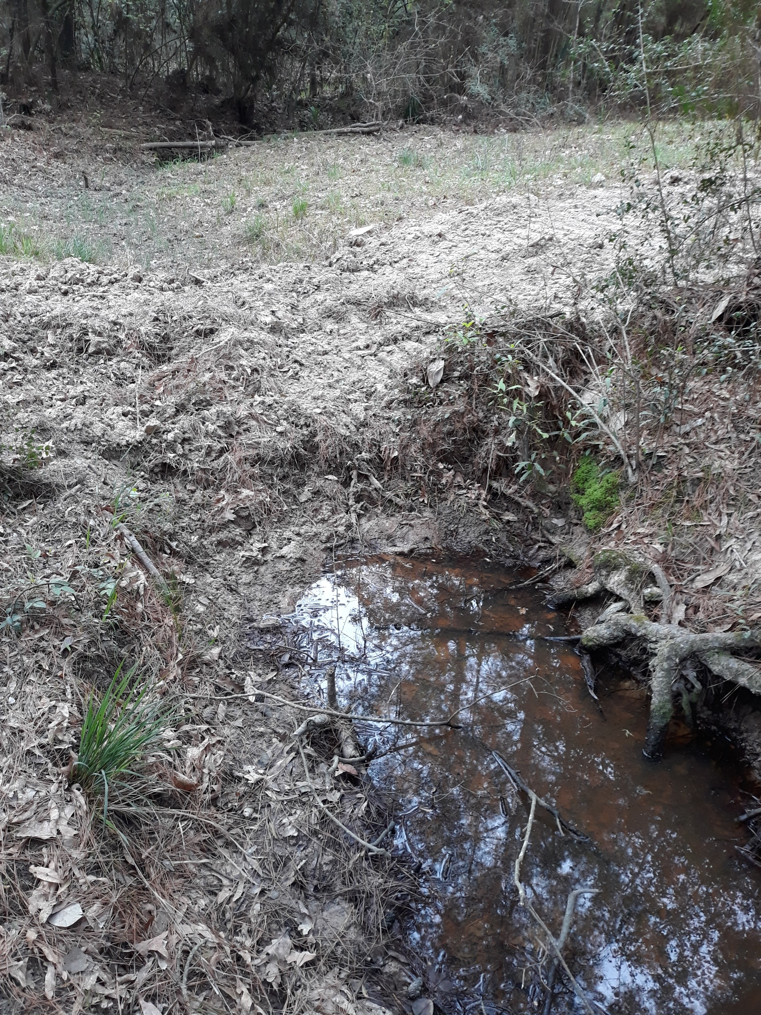 Filled Stream