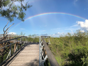 Bentsen Rio Grande SP
