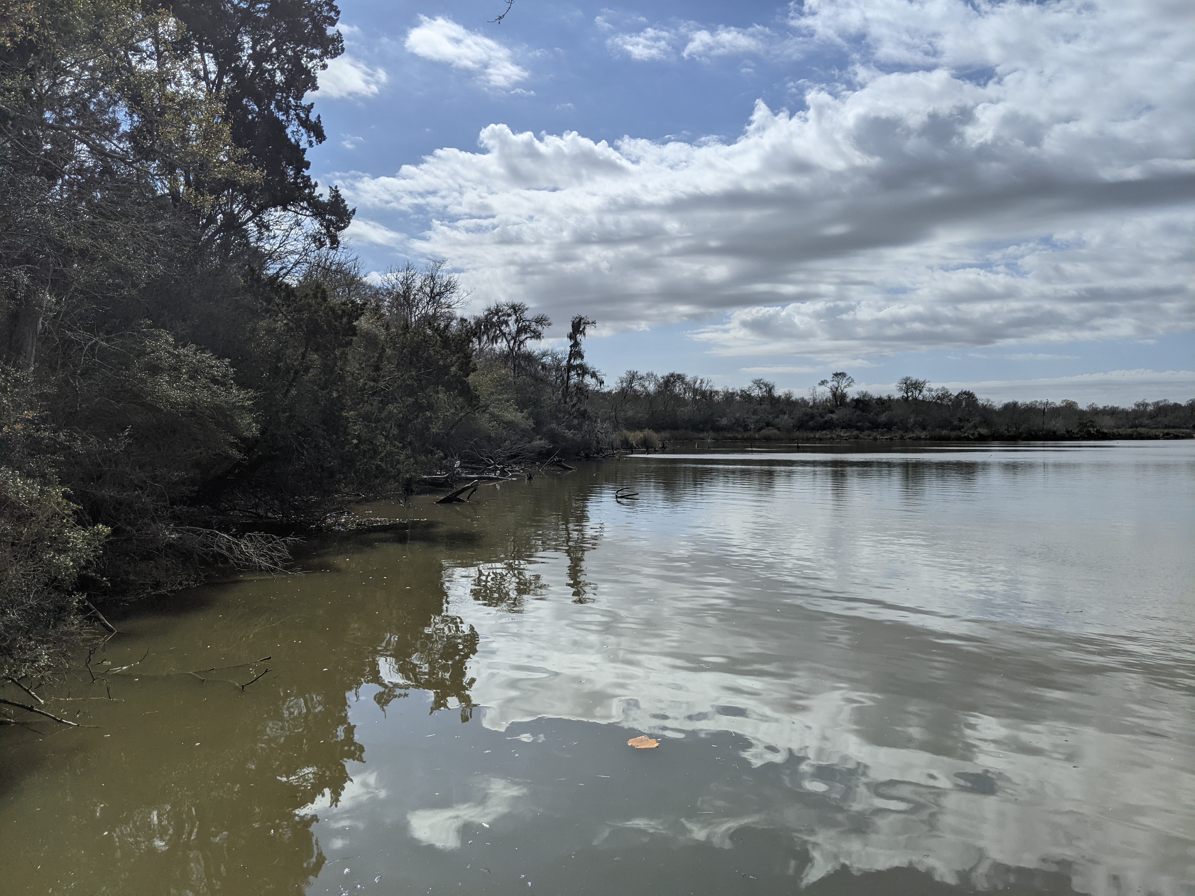 Bayous and coastal bays