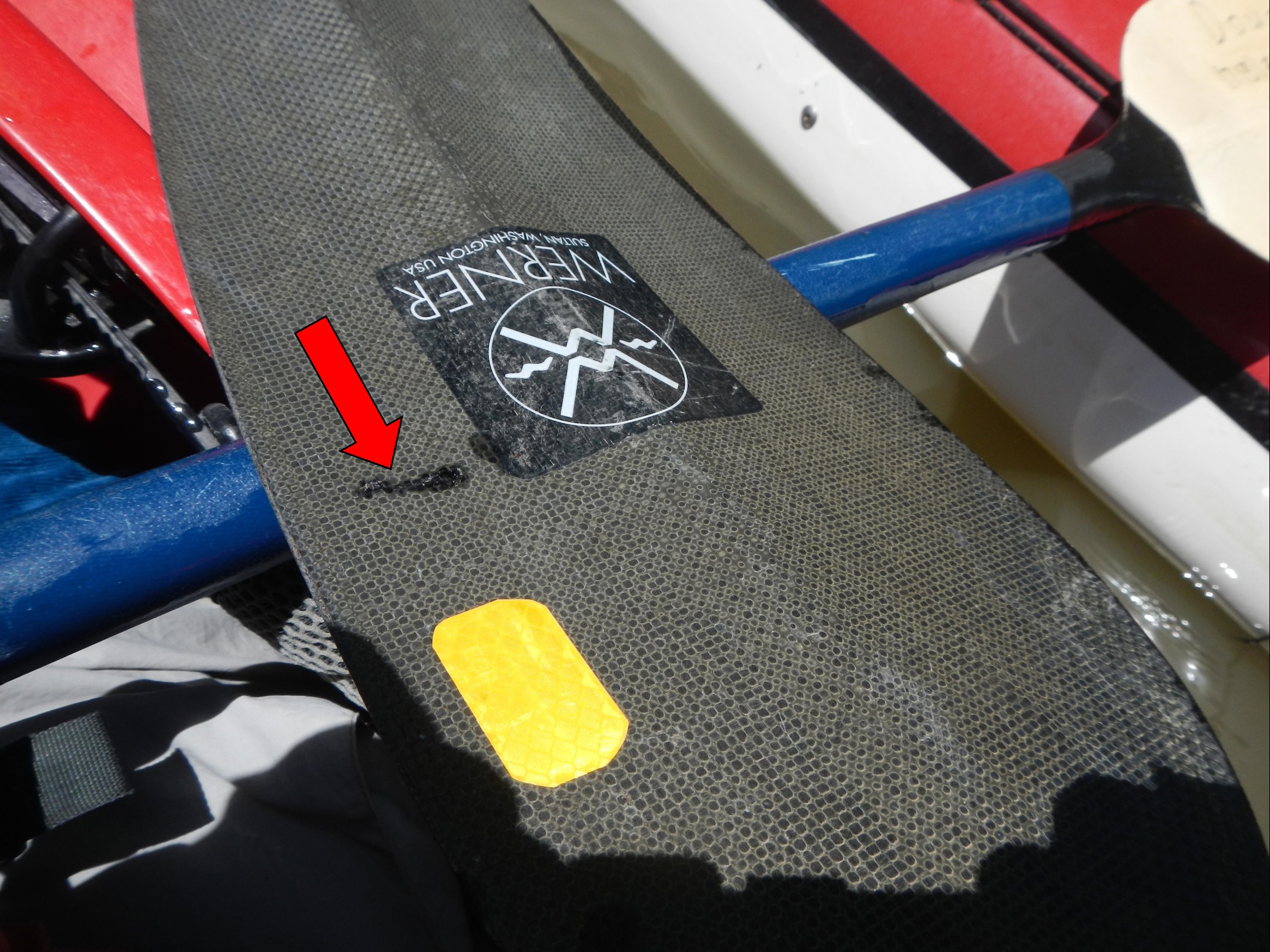 Conversation Piece by Tom Douglas