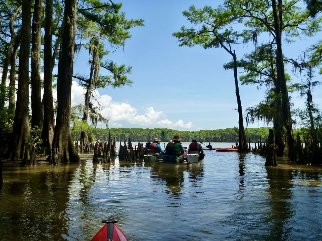 Into Mud Lake by Joe Coker