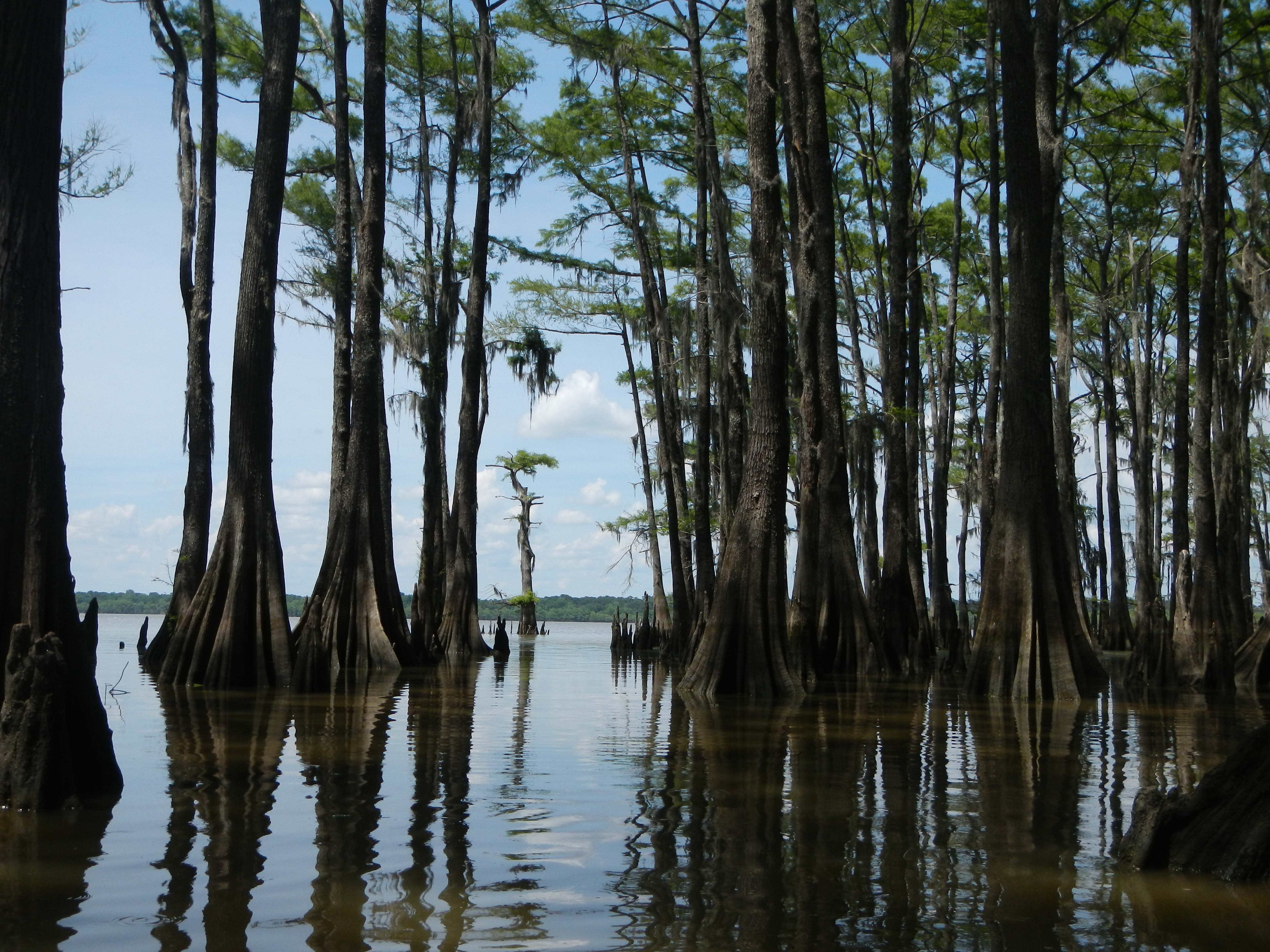 Return to Lake Charlotte by Tom Douglas