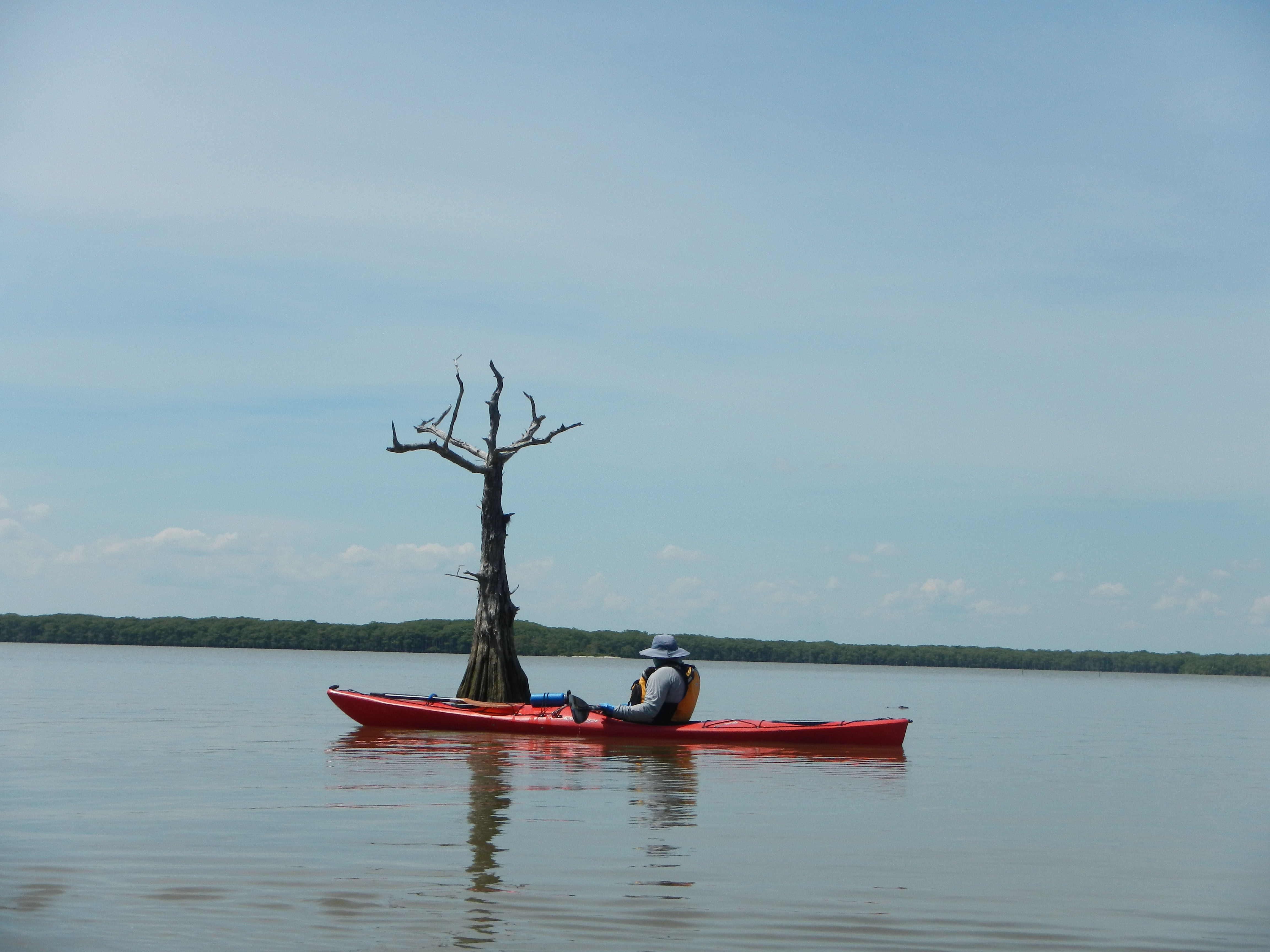 Sand Point Riddle by Tom Douglas