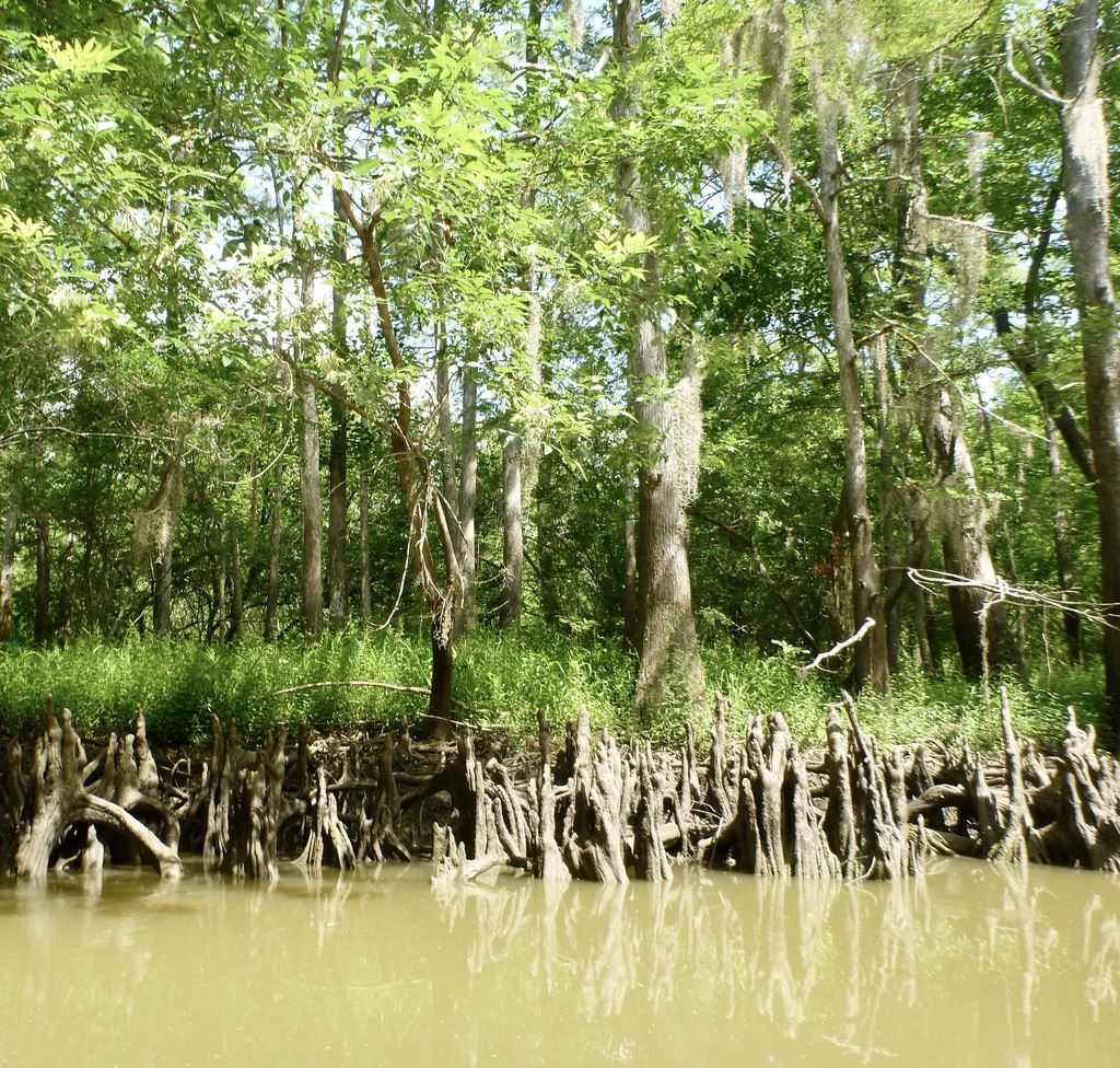 Knee Street by Joe Coker