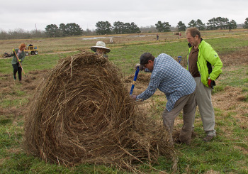 hay baling 
