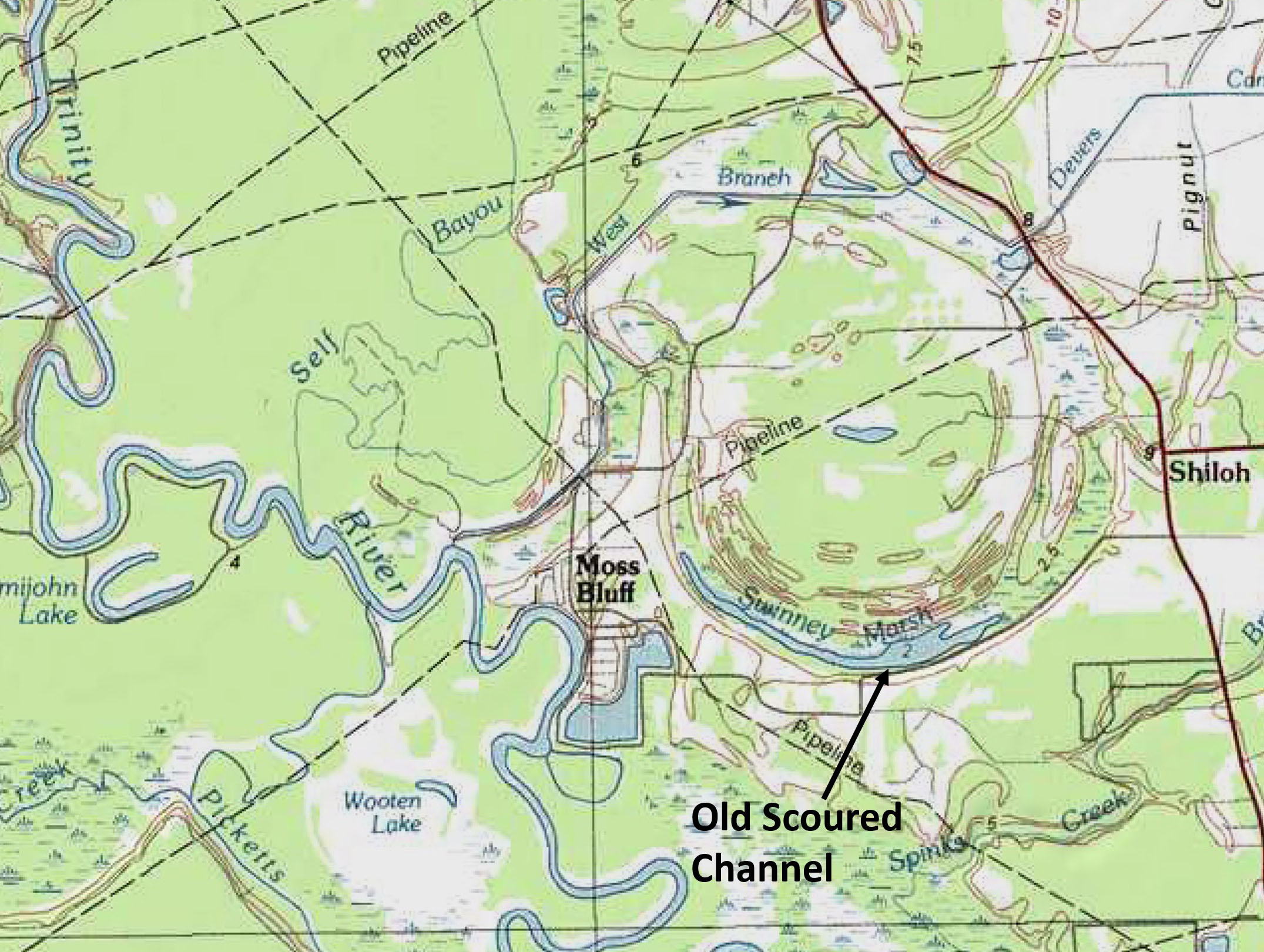 Swinney Marsh